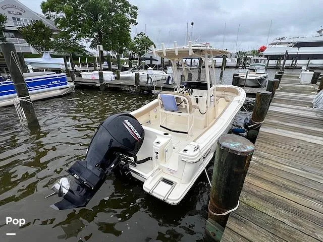 Slide: The Image of Scout 215 XSF 2023 - 14207208