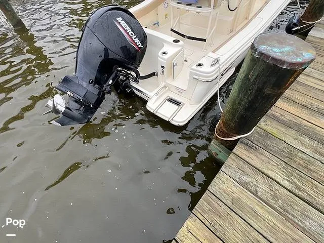 Slide: The Image of Scout 215 XSF 2023 - 14207209