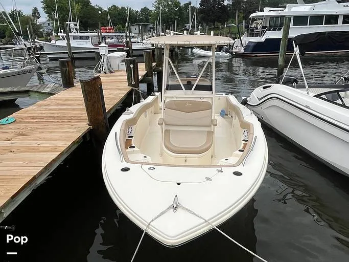 Slide: The Image of Scout 215 XSF 2023 - 15684259