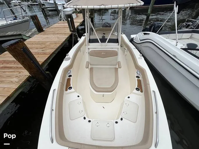 Slide: The Image of Scout 215 XSF 2023 - 15684257