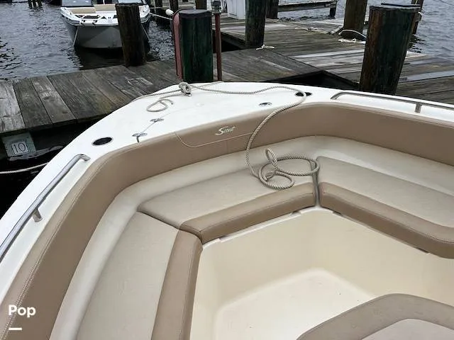 Slide: The Image of Scout 215 XSF 2023 - 14207238