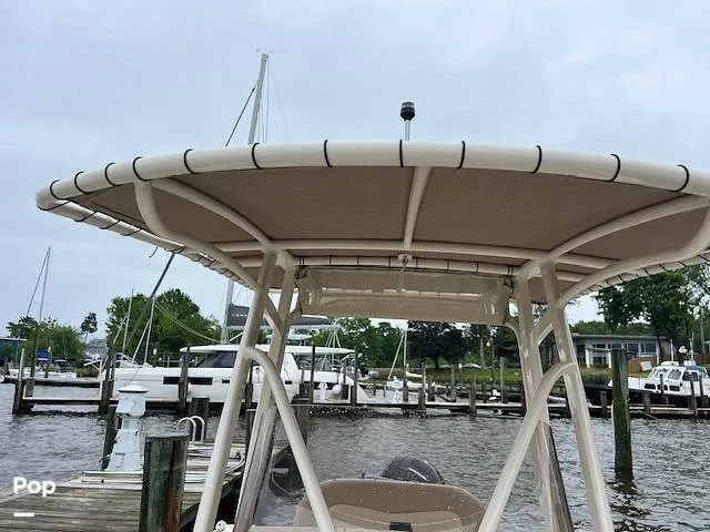 Slide: The Image of Scout 215 XSF 2023 - 14207244