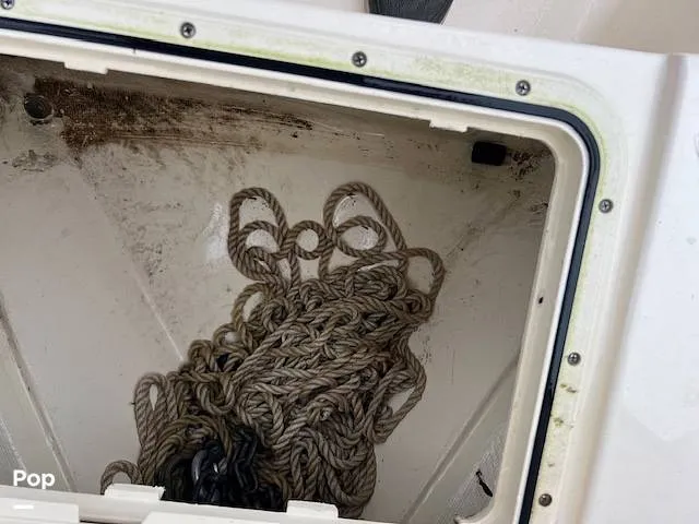 Slide: The Image of Scout 215 XSF 2023 - 14207247