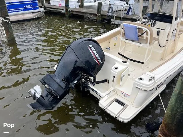 Slide: The Image of Scout 215 XSF 2023 - 14207206