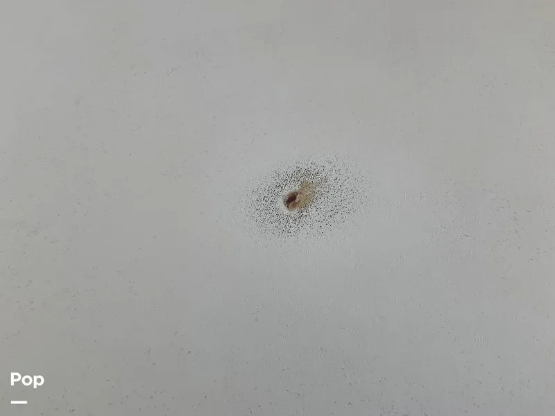 Slide: The Image of Baja 335 Performance 2008 - 14336105