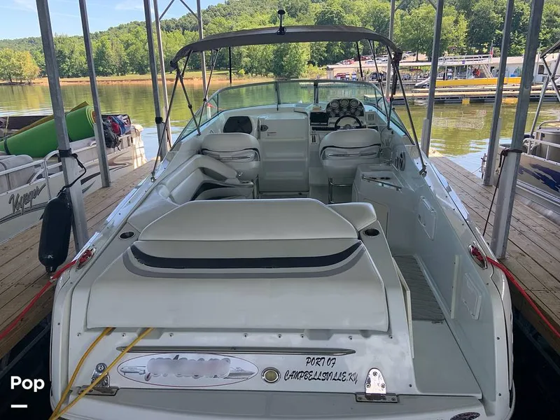 Slide: The Image of Baja 335 Performance 2008 - 14332298