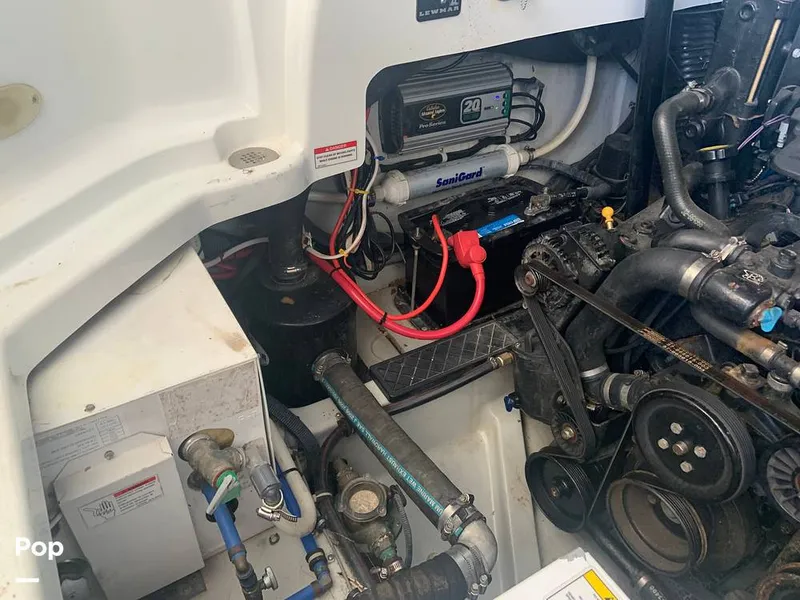 Slide: The Image of Baja 335 Performance 2008 - 14333410