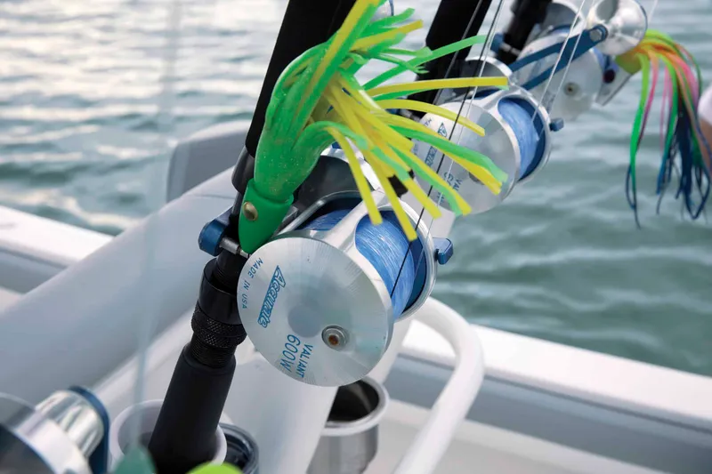 Slide: The Image of Regulator Marine 23 2019 - 7