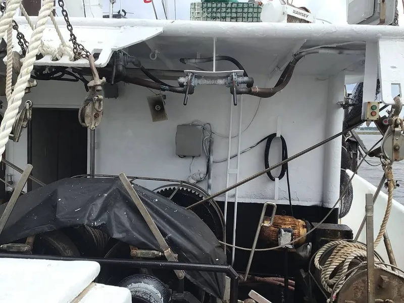 Slide: The Image of Rodriguez 81 1993 - 14350545