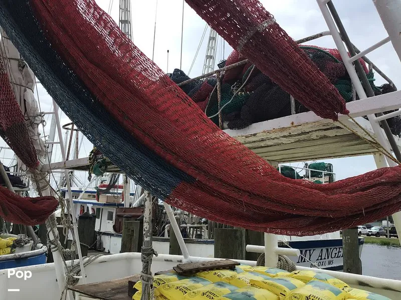 Slide: The Image of Rodriguez 81 1993 - 14350570