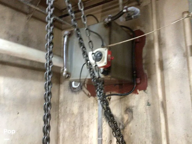 Slide: The Image of Rodriguez 81 1993 - 14350386