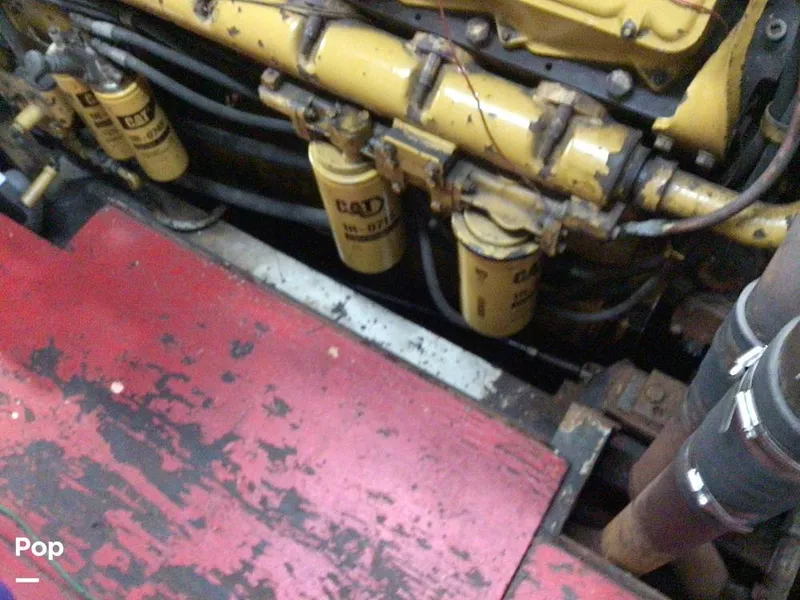 Slide: The Image of Rodriguez 81 1993 - 14350388