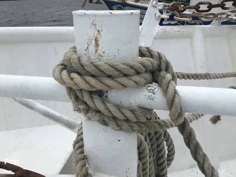 Slide: The Image of Rodriguez 81 1993 - 14350465