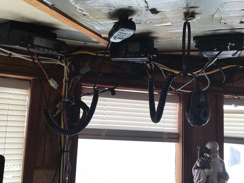 Slide: The Image of Rodriguez 81 1993 - 14350479