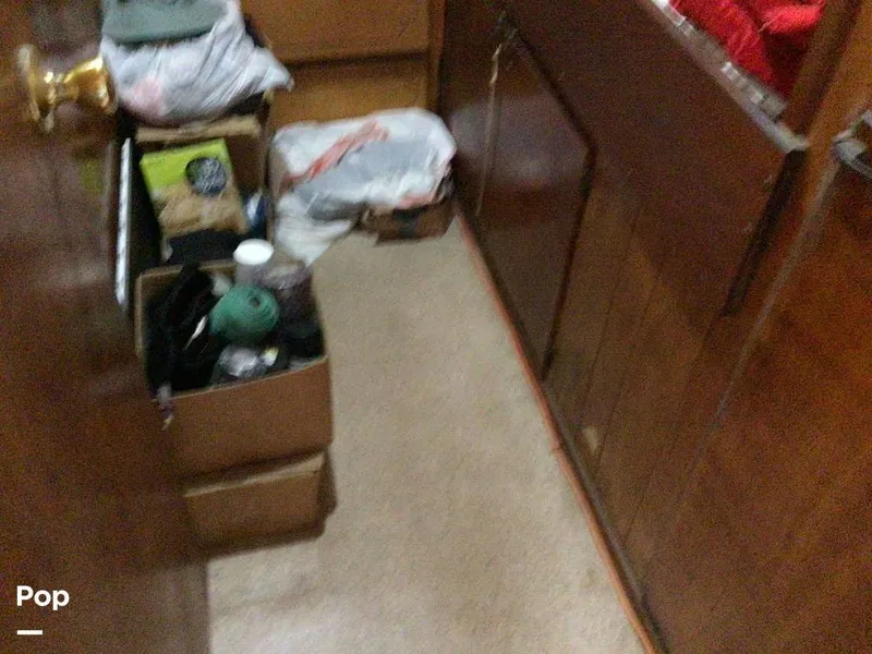 Slide: The Image of Rodriguez 81 1993 - 14350514