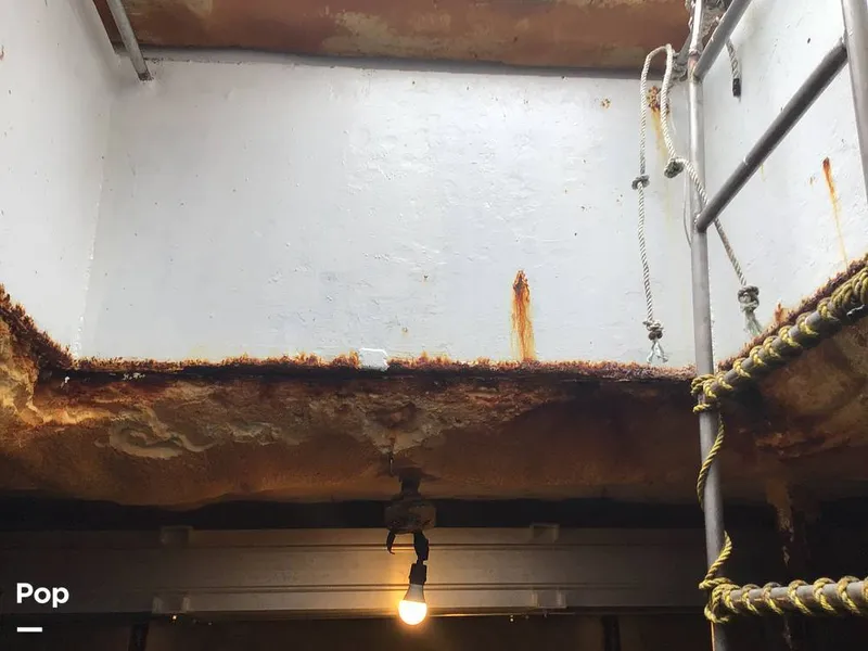 Slide: The Image of Rodriguez 81 1993 - 14350523