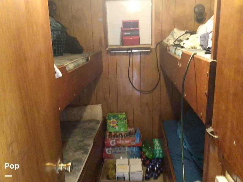 Slide: The Image of Rodriguez 81 1993 - 14350524