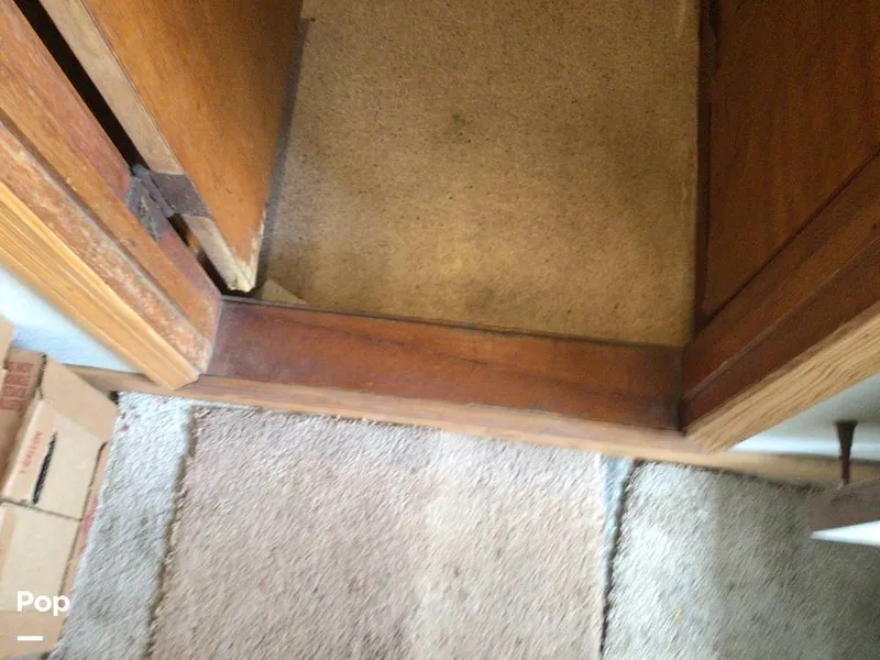 Slide: The Image of Rodriguez 81 1993 - 14350526