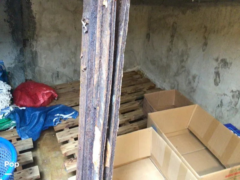 Slide: The Image of Rodriguez 81 1993 - 14350527