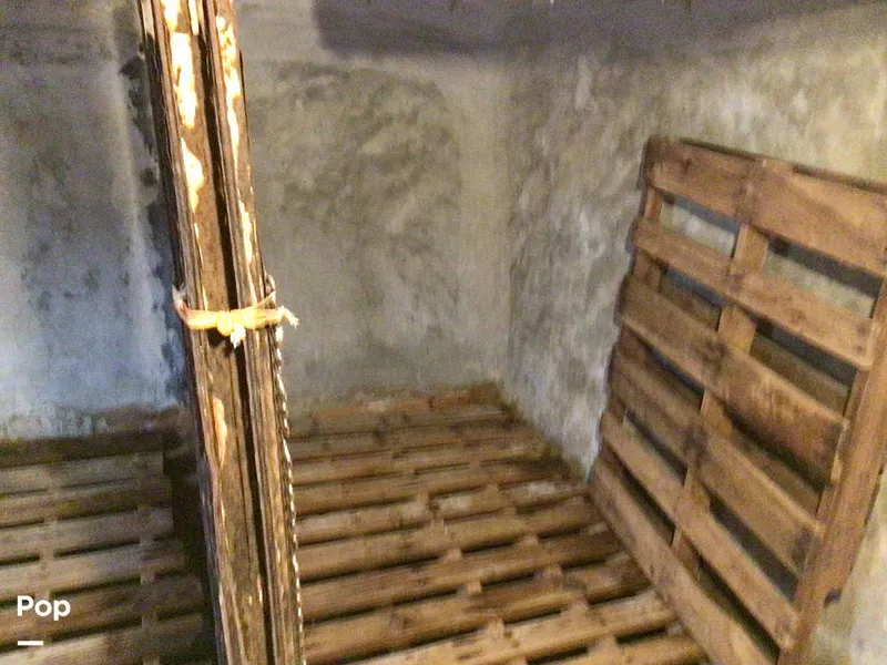 Slide: The Image of Rodriguez 81 1993 - 14350528