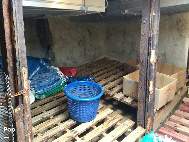 Slide: The Image of Rodriguez 81 1993 - 14350531