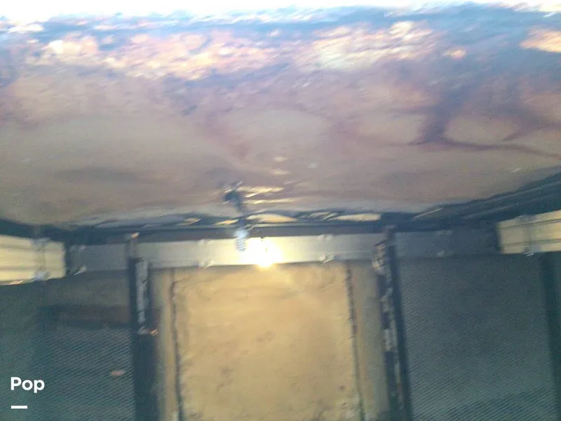 Slide: The Image of Rodriguez 81 1993 - 14350534