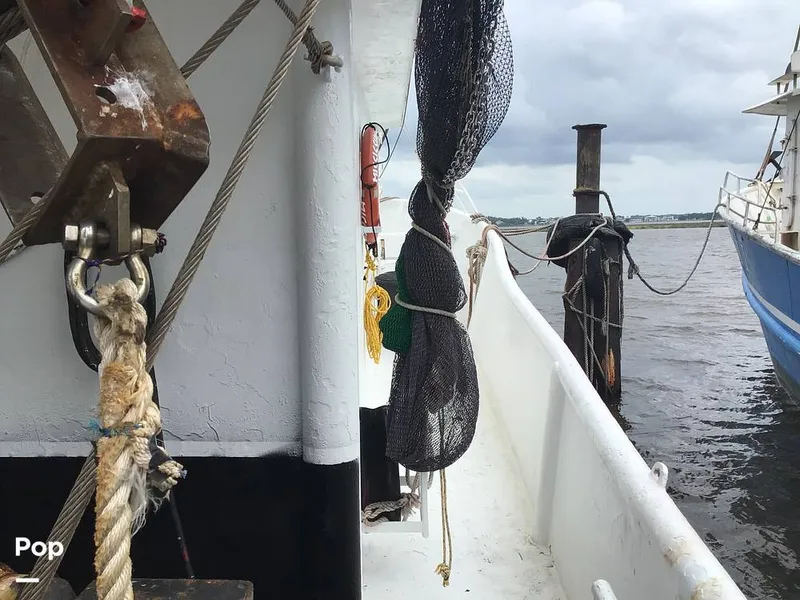 Slide: The Image of Rodriguez 81 1993 - 14350540