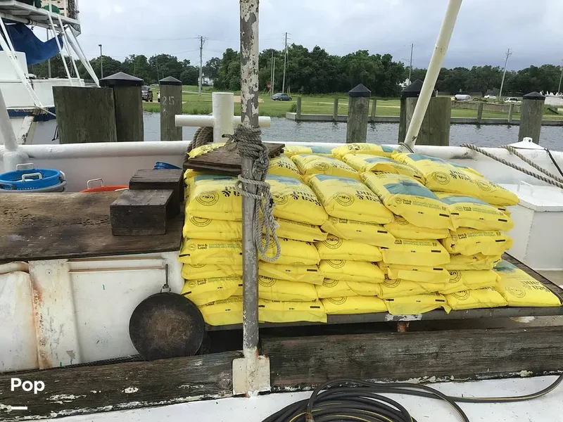 Slide: The Image of Brine - 14350590