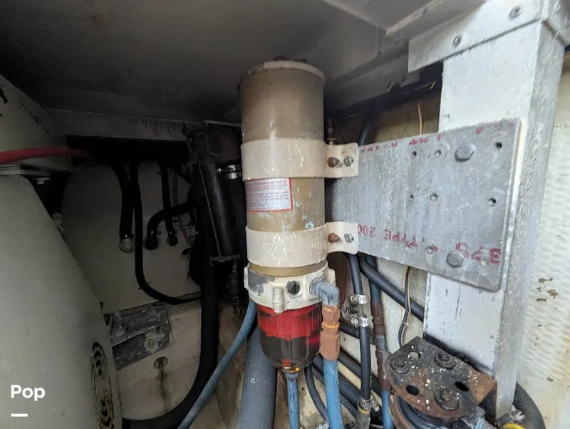 Slide: The Image of Jersey 40 Sportfish 1974 - 16142173