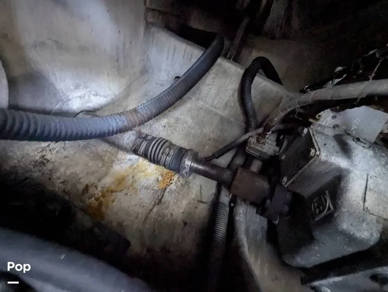 Slide: The Image of Jersey 40 Sportfish 1974 - 16142179