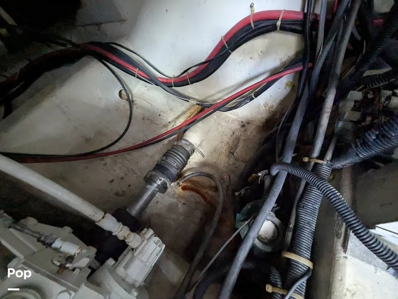 Slide: The Image of Jersey 40 Sportfish 1974 - 16142183