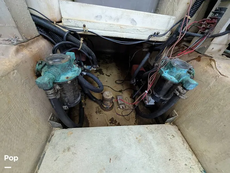 Slide: The Image of Jersey 40 Sportfish 1974 - 16142189