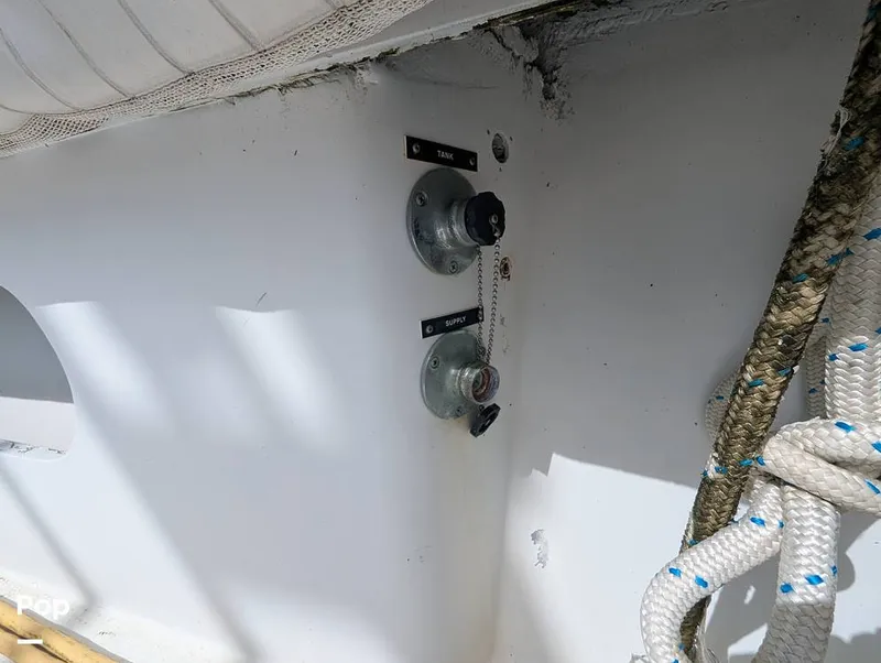 Slide: The Image of Jersey 40 Sportfish 1974 - 16142119