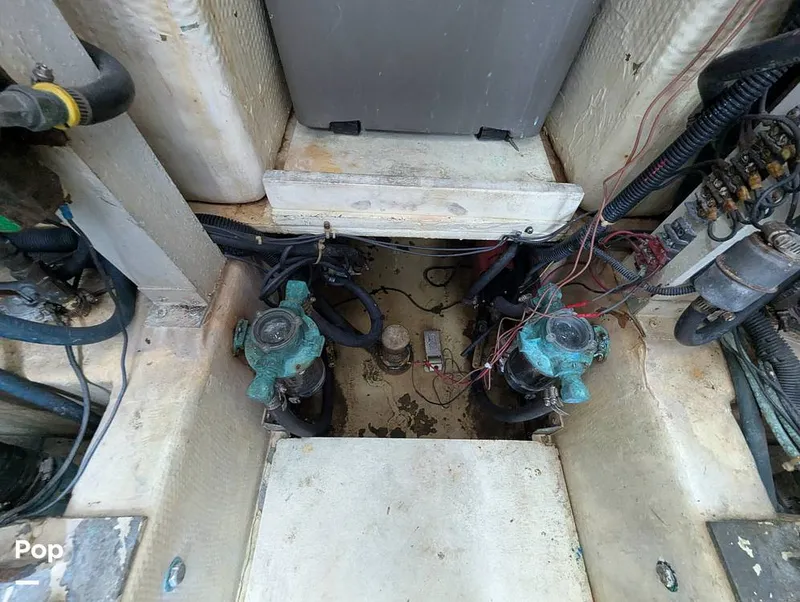 Slide: The Image of Jersey 40 Sportfish 1974 - 16142170