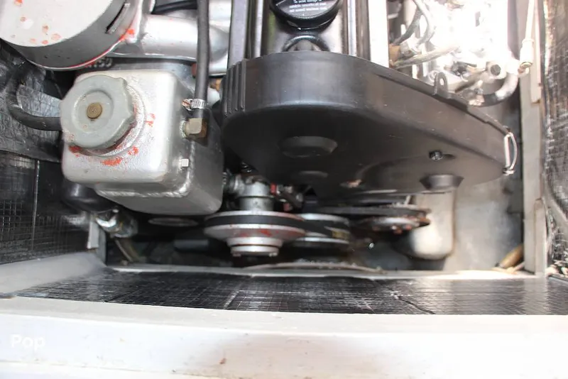 Slide: The Image of Passport 40 1981 - 14378564