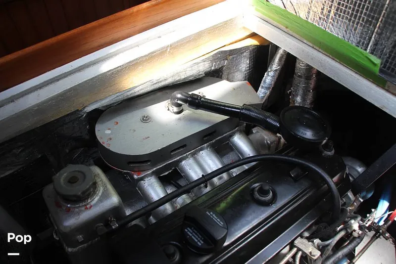 Slide: The Image of Passport 40 1981 - 14378565