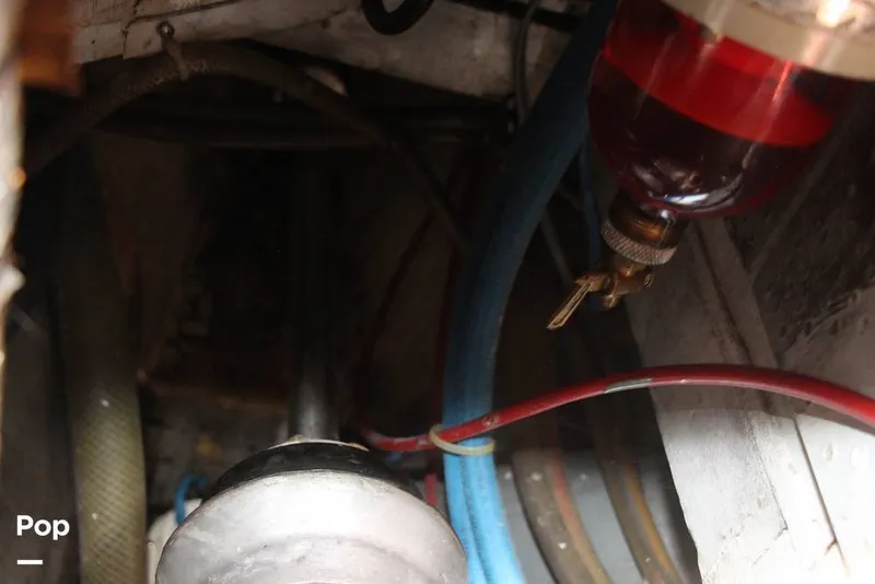 Slide: The Image of Passport 40 1981 - 14378566