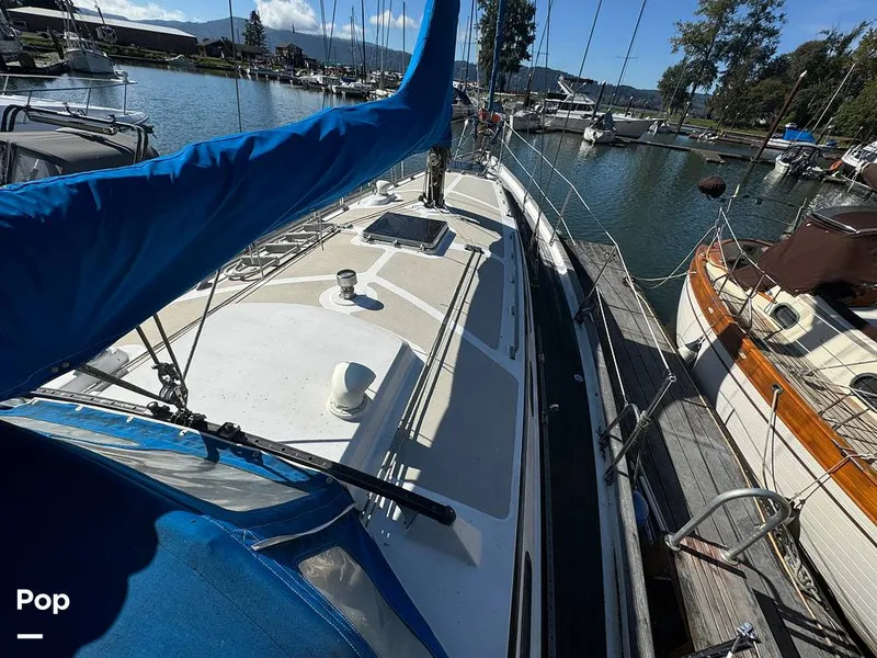 Slide: The Image of Passport 40 1981 - 14755399