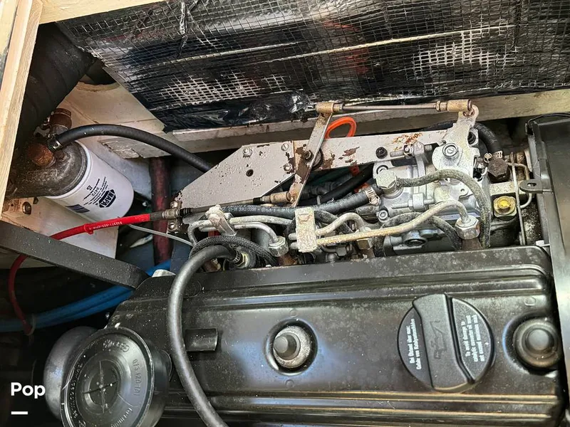 Slide: The Image of Passport 40 1981 - 14755524