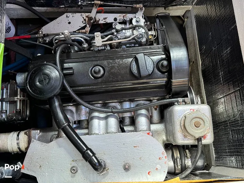 Slide: The Image of Passport 40 1981 - 14755525