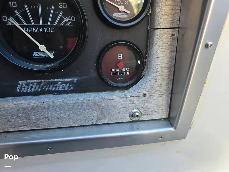 Slide: The Image of Passport 40 1981 - 14378463