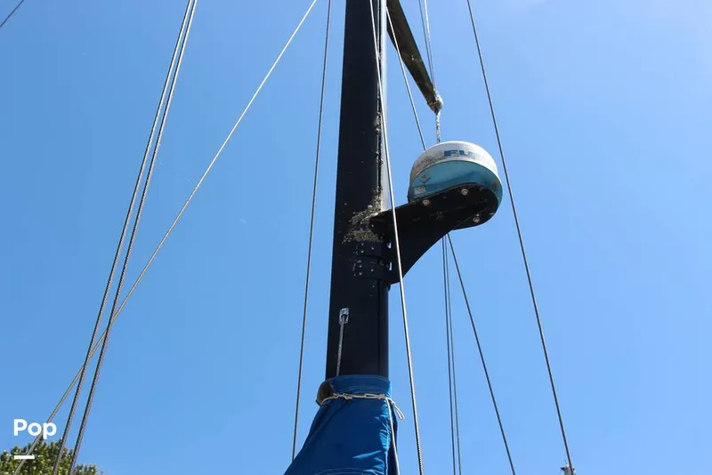 Slide: The Image of Passport 40 1981 - 14378481