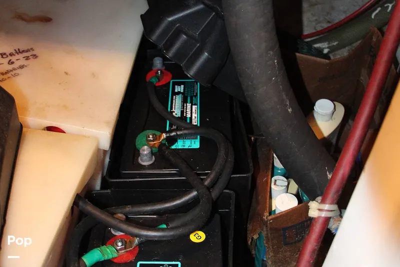 Slide: The Image of Passport 40 1981 - 14378552