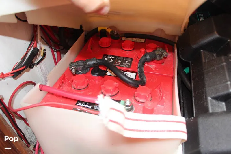 Slide: The Image of Passport 40 1981 - 14378554