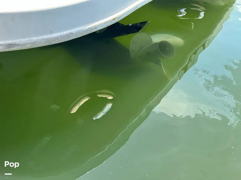 Slide: The Image of Sea Ray 290 Amberjack 2000 - 14598067