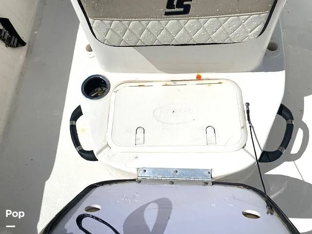 Slide: The Image of Carolina 19LS 2020 - 14390937