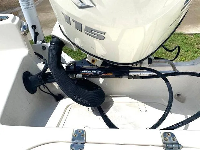 Slide: The Image of Carolina 19LS 2020 - 14391280