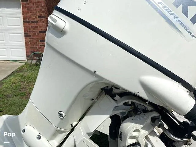 Slide: The Image of Carolina 19LS 2020 - 14391421