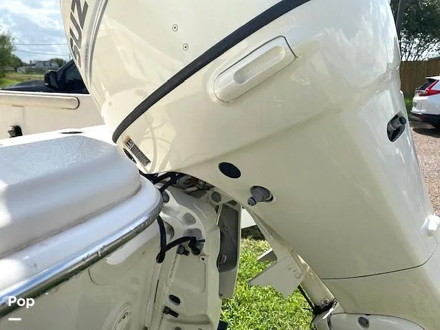 Slide: The Image of Carolina 19LS 2020 - 14391422