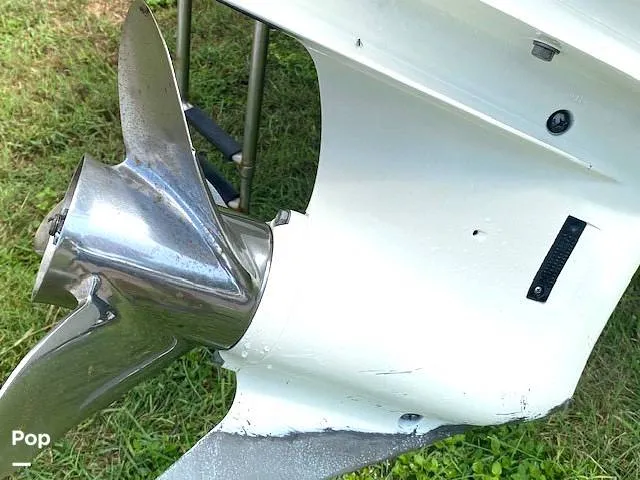 Slide: The Image of Carolina 19LS 2020 - 14391284